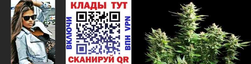 Купить наркотик аптеки Канаш ГАШИШ  Конопля  КОКАИН  Меф мяу мяу 