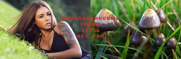 прущие грибы Володарск