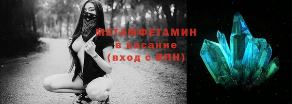 прущие грибы Володарск