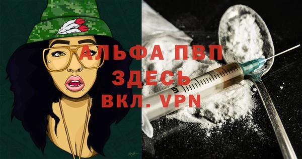 прущие грибы Володарск