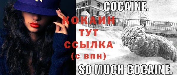 прущие грибы Володарск