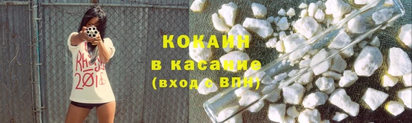 прущие грибы Володарск