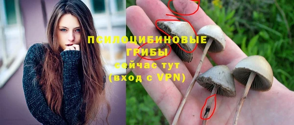 герыч Волоколамск
