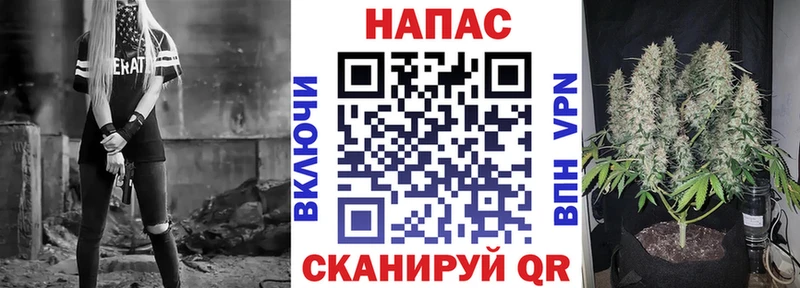 где купить   Канаш  Бошки марихуана SATIVA & INDICA 
